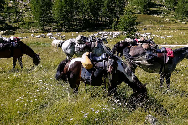 Rando à cheval en Ligurie