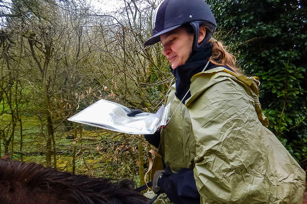 Rando à cheval en Normandie