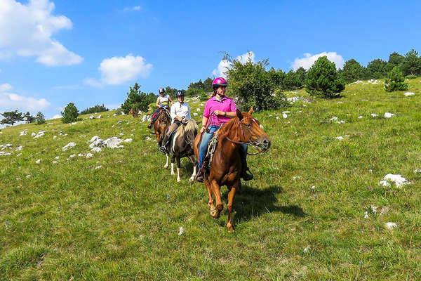 Slovénie à cheval