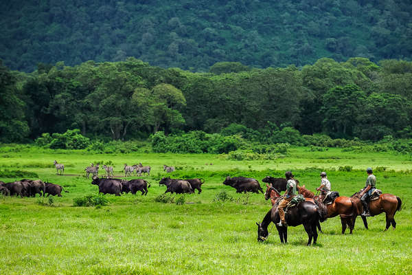 Rando à cheval en Tanzanie