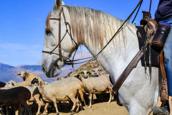 Rando à cheval en Turquie