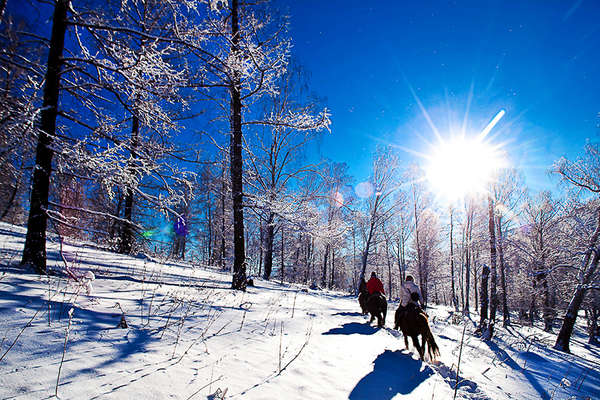 Auvergne à cheval sous la neige