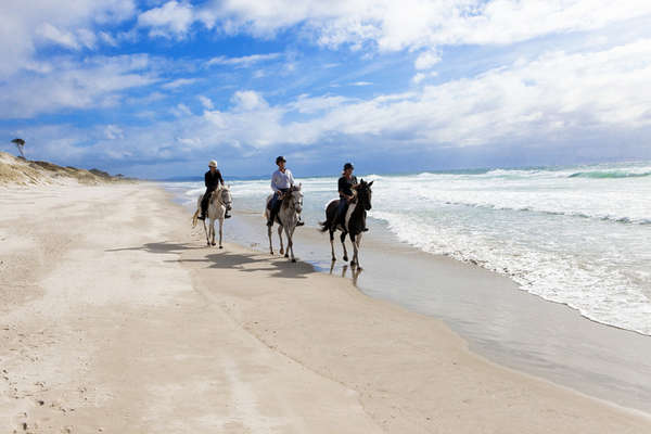 Plage et chevaux en Nouvelle-Zélande