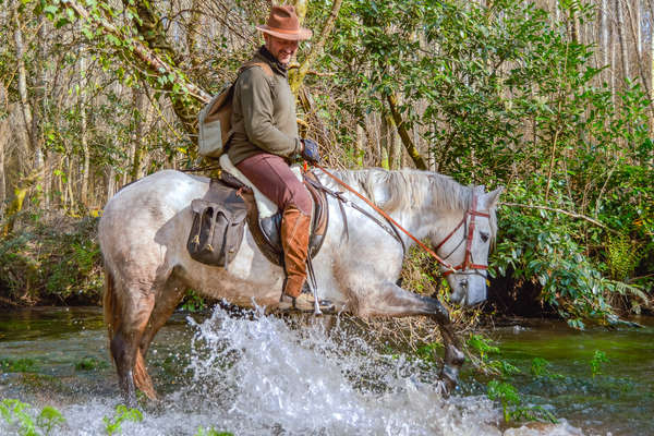 Rando à cheval sur le chemin de St Jacques de Compostelle