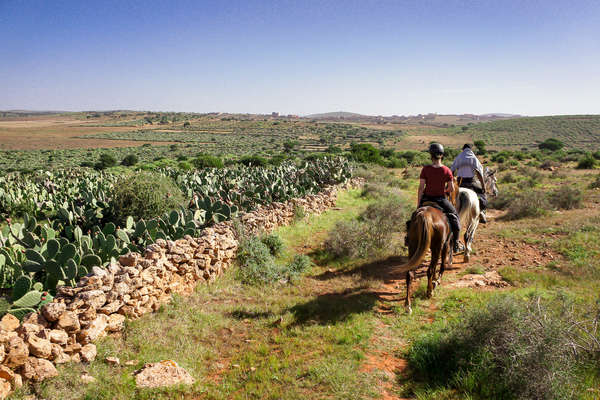 Rando équestre au Maroc