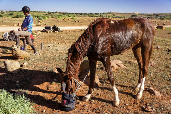 Rando équestre au Maroc