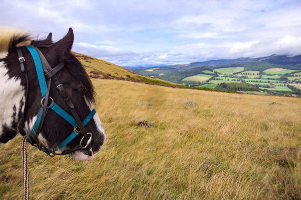 Ecosse à cheval