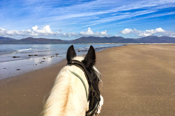 Rando équestre en Irlande