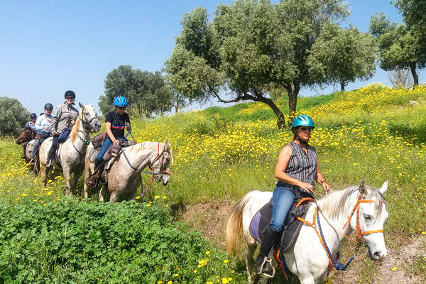 Rando équestre en Israël