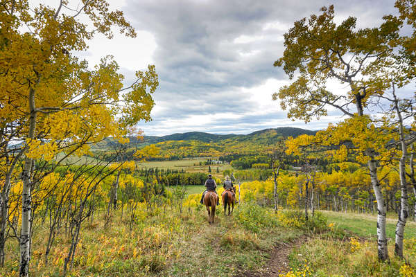 Randonnée à cheval au Canada