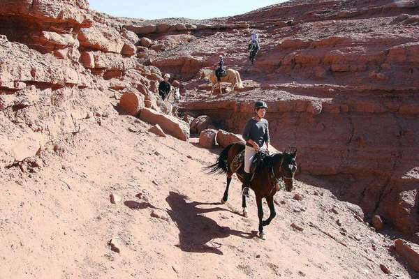 Séjour équestre au Maroc