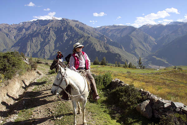 Canyon del colca à cheval au Pérou