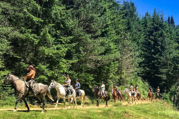 Randonnée à cheval dans la forêt en Bulgarie
