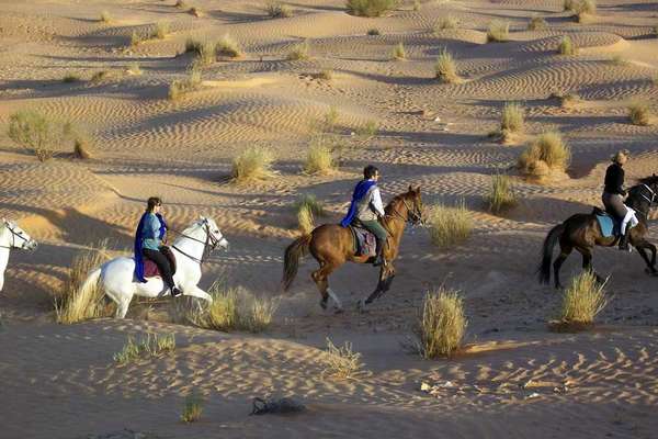 le Sahara tunisien à cheval
