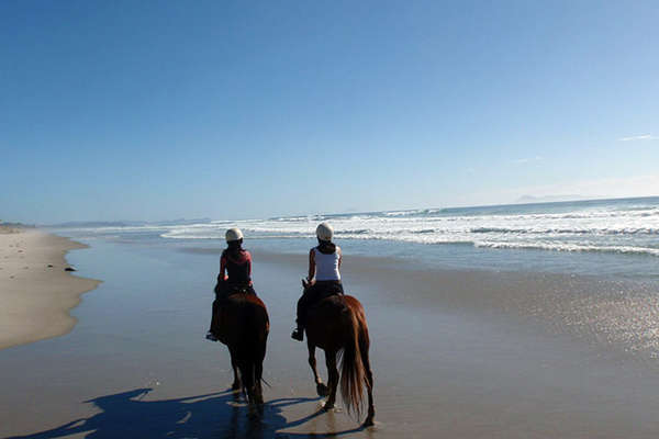 La Nouvelle-Zélande à cheval