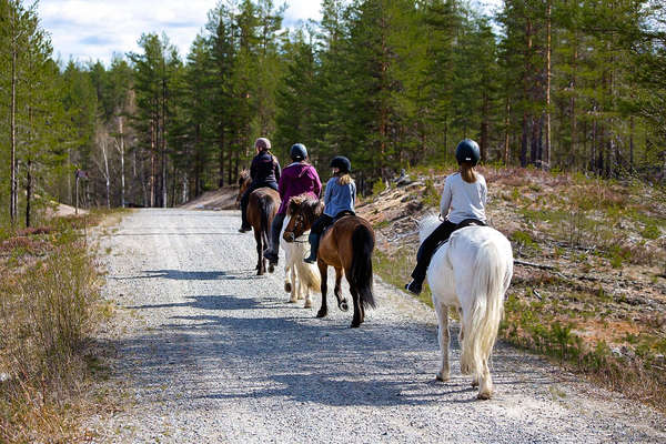 Randonnée à cheval en Suède