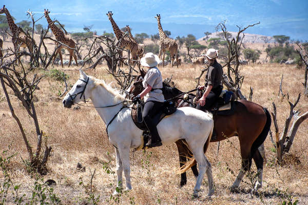 Randonnée à cheval en Tanzanie