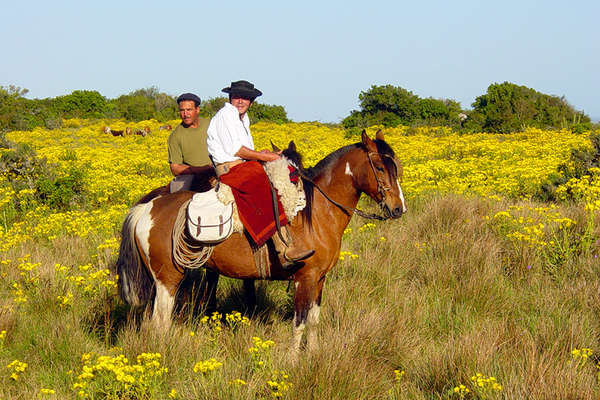 Séjour équestre en Uruguay