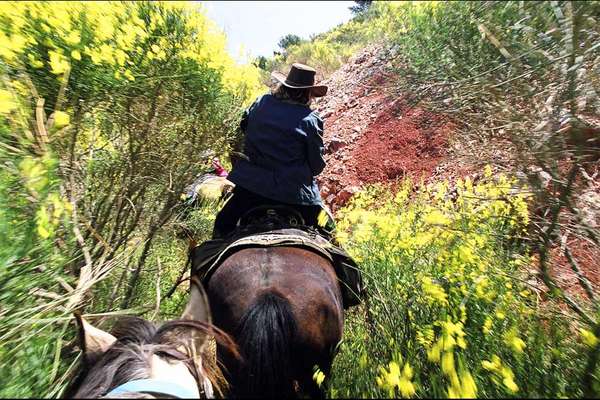 Montagne de Lure à cheval