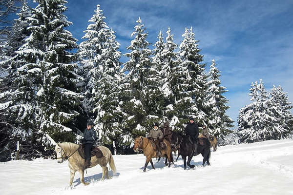 Randonnée dans le Jura enneigé