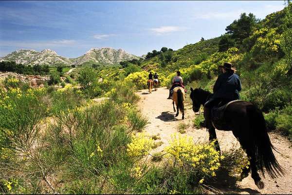 Rando à cheval Haute Provence