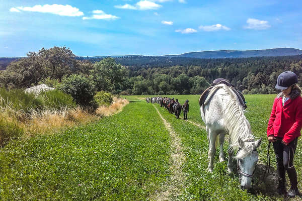 Randonnée en Lozère