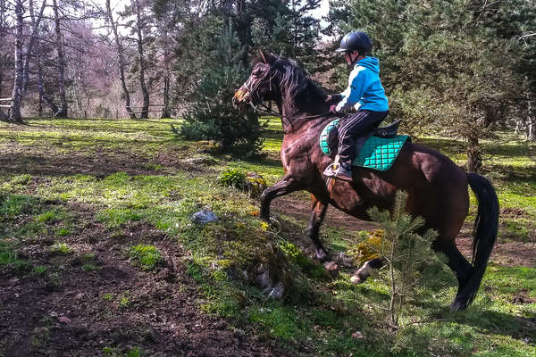 Randonnée en Lozère