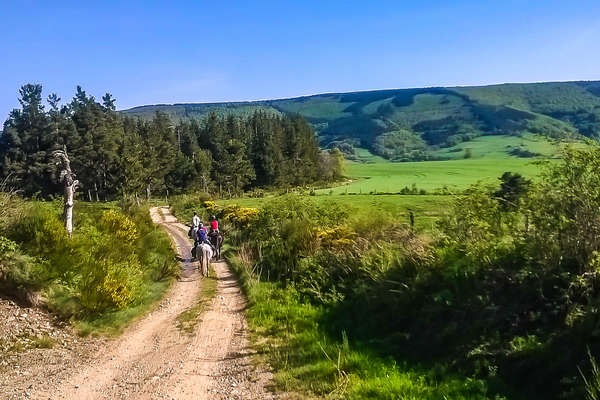 Randonnée en Lozère