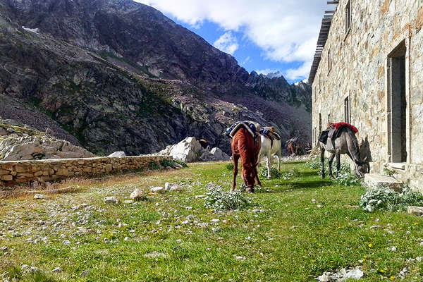 Randonnée à cheval dans le Mercantour