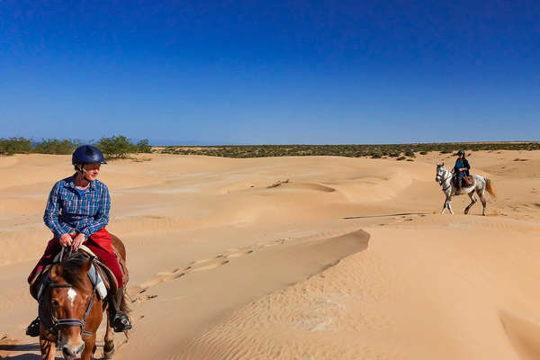 Randonnée équestre dans le désert au Maroc
