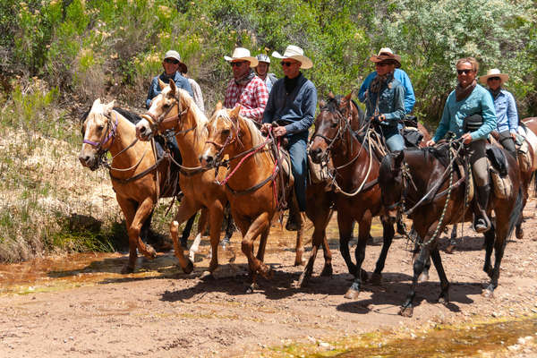 Randonnée équestre dans le Far West