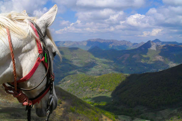 Randonnée équestre dans le Gévaudan