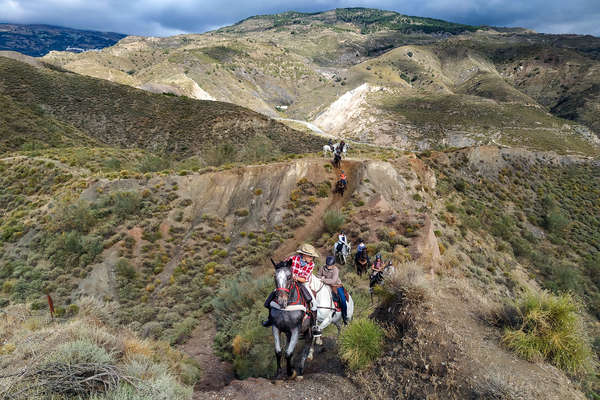 Randonnée équestre en Andalousie