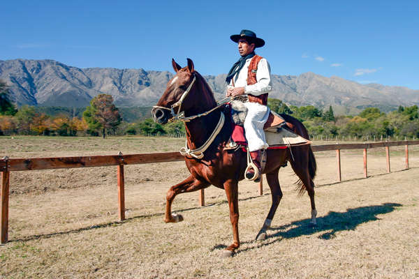 Randonnée équestre en Argentine