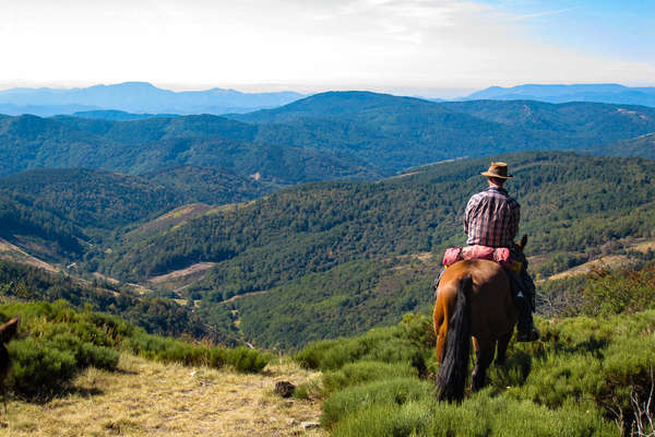 Randonnée équestre en Auvergne