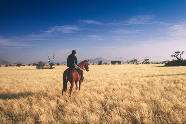 Randonnée équestre en Namibie