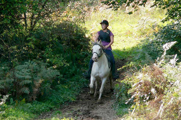 Rando à cheval en Normandie