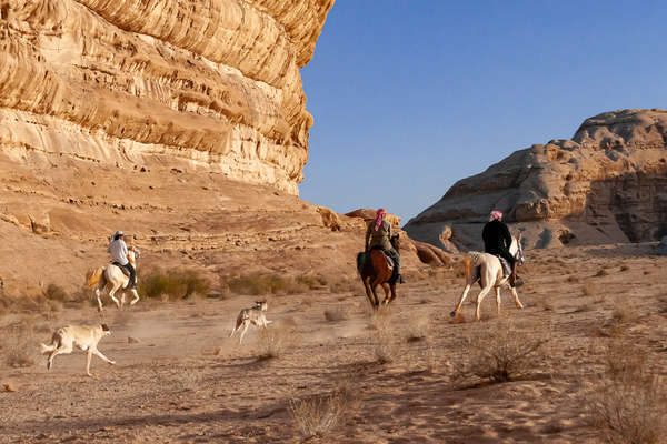 Randonnée équestre  galopante en Jordanie