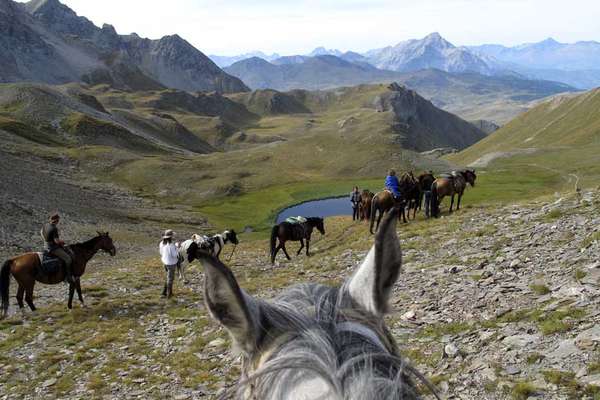 Alpes et chevaux
