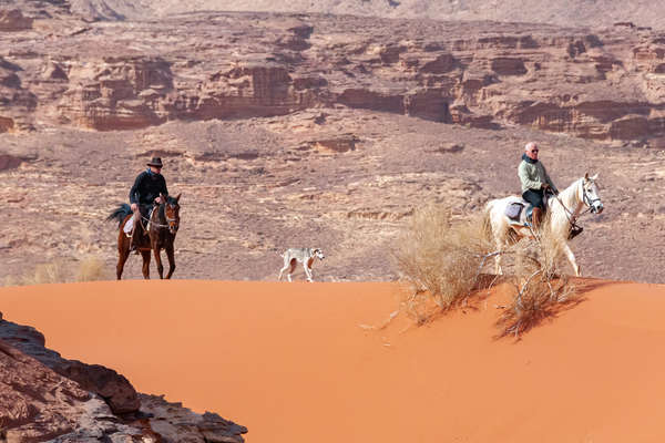 Randonnée équestres dans les dunes de Jordanie