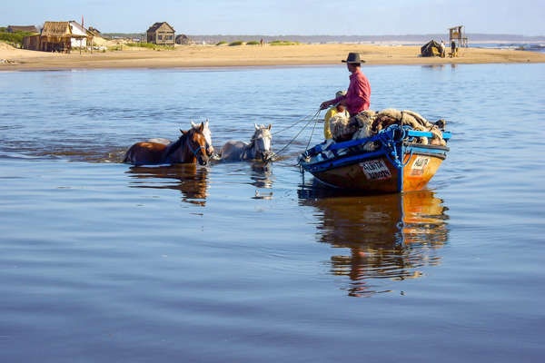 Région de Cabo Polonio à cheval