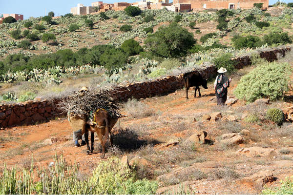 A cheval au Maroc