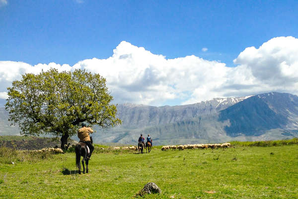 Rencontre avec la faune d'Albanie