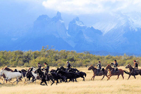 Baqueanos, chevaux et Patagonie