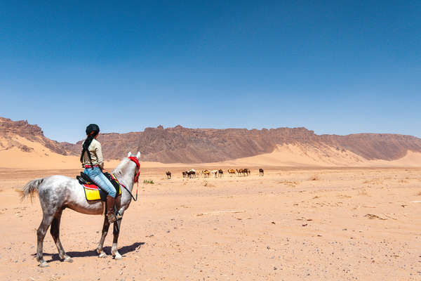 Rencontre d'une cavalière à cheval avec un troupeau de chameaux