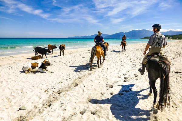 Rencontre sur la plage