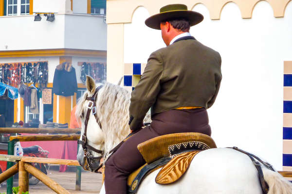 Représentation de l'école royale portugaise