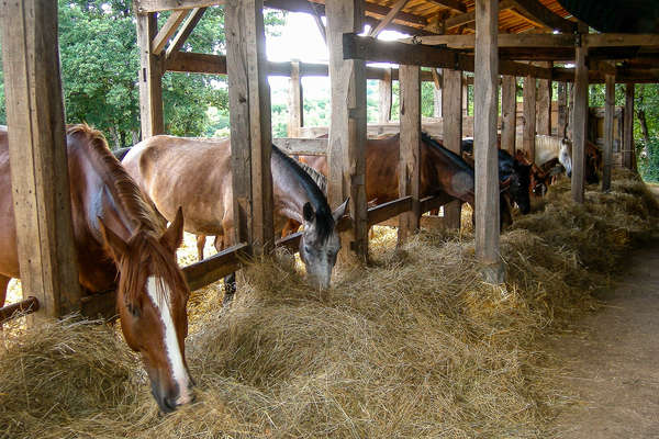 Rocamadour à cheval