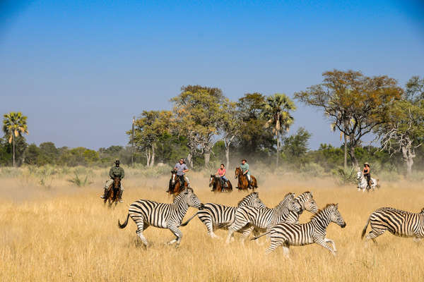 Safari à cheval au Botswana