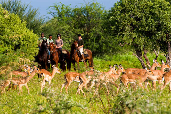 Safari à cheval au Botswana